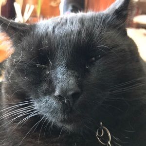 Meet your Posher, Suzanne